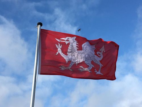 White Dragon of England flag embroidered woven MoD fabric